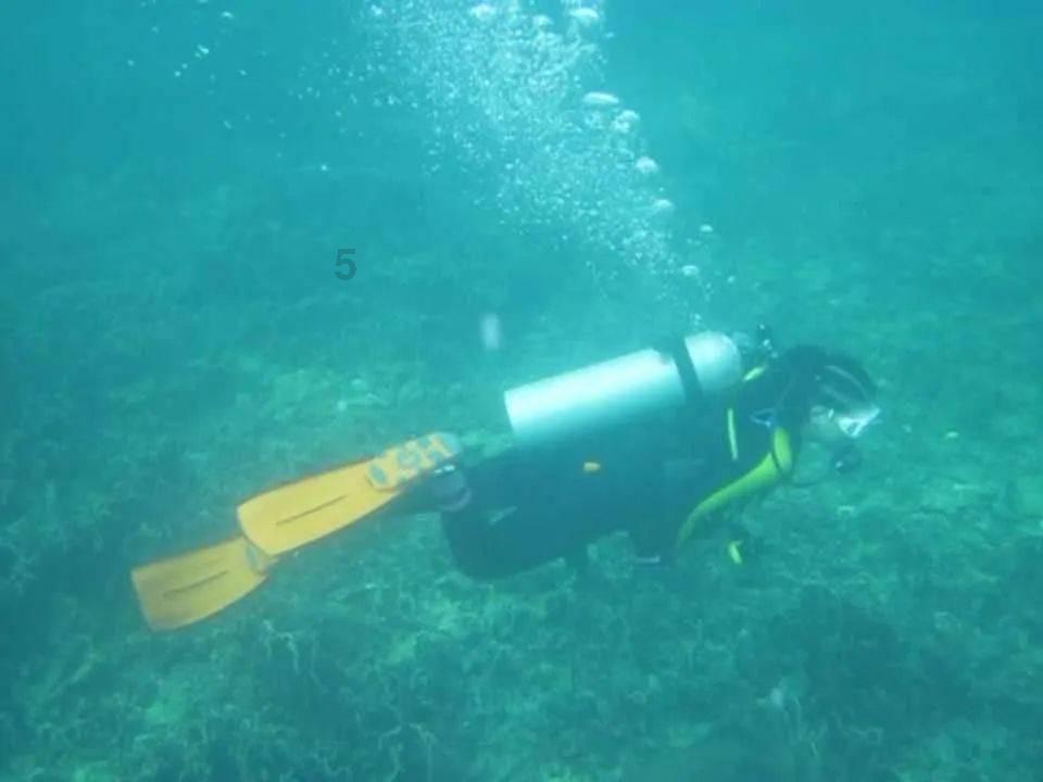 深入了解你觉得爱而不得遗憾吗?,尽在知识星球平台